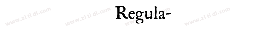 标小智无界黑 Regula字体转换